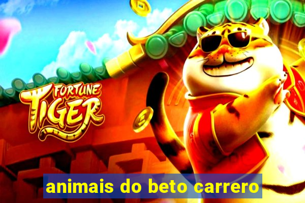 animais do beto carrero